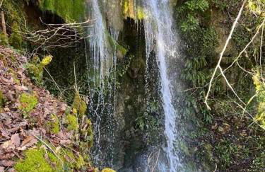 Gîte Ô Nature - Foto 55