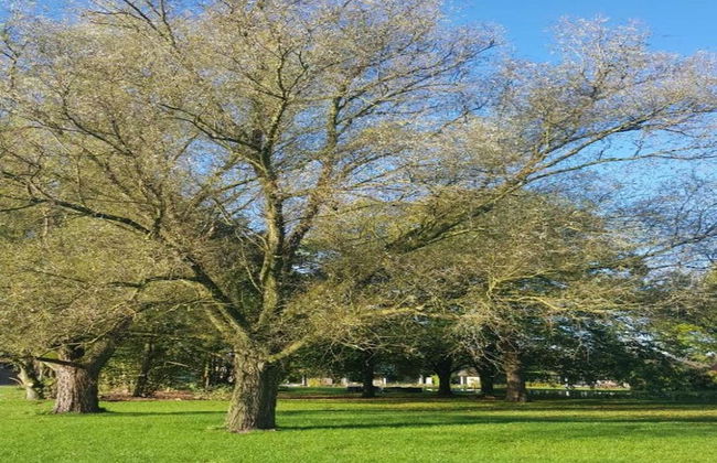 Holiday Home in Netherlands Pond View - Photo 33
