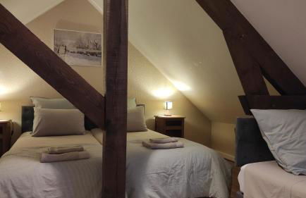 Gîte authentique près Zoo de Beauval et Châteaux - Photo 36