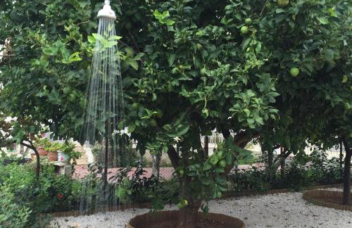 Best location in Vrachati - Photo 23