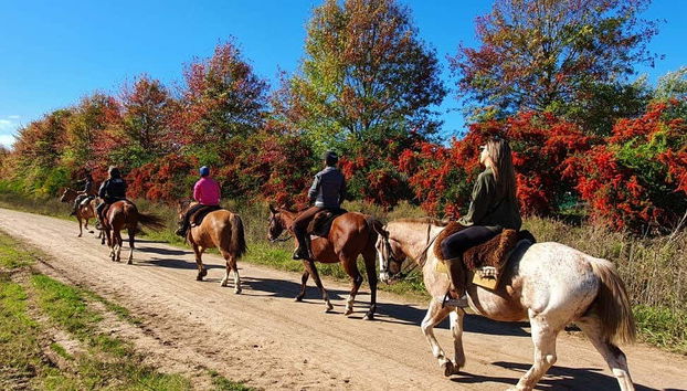 Baladez-vous à cheval dans les environs de Carlos Keen