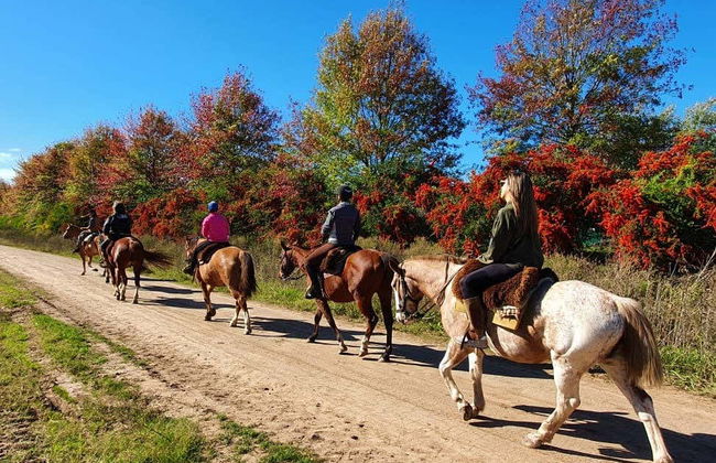 Horse Riding in Carlos Keen - Photo 2