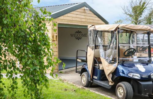 Little Silver Owl - Foto 23