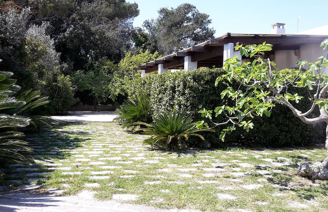 Agriturismo Vignavecchia - Photo 46