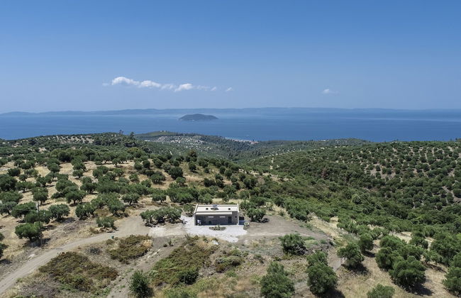 Alterra Vita Eco Villas - Foto 33