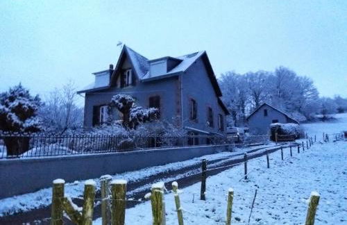 Les Buissonnets - Foto 52