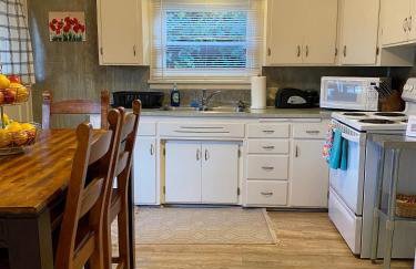 Historic Downtown Cottage - Foto 11