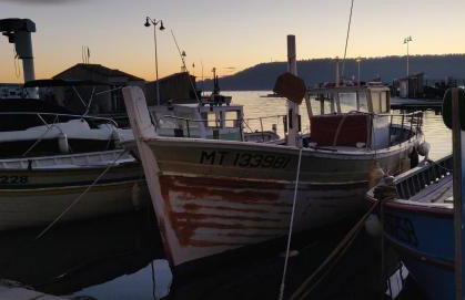 La maisonnette de Saint Chamas - Foto 26