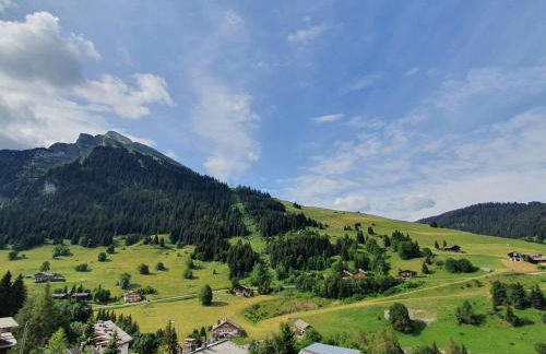 Appartement 2 pièces avec garage à La Clusaz, ski au pied - FR-1-459-169 - Foto 10