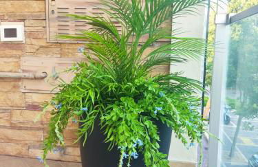 Solemare3 Bellaria - Foto 14