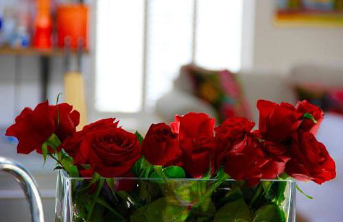 Bridgend Cottage, Auchencairn, Castle Douglas - Foto 19