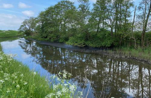 Bärenkoje Esens - Photo 27