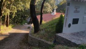 Casinha Laranja - Foto 4, Garden