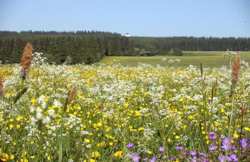 Landhaus am Rennweg - Foto 13