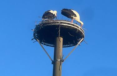 Ferienwohnung Segeln und Angeln - Foto 43