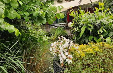 Ferienapartement Stuermer - Foto 18