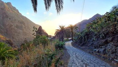 Casa Rural El Horno Masca - Foto 5