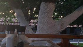 Gregory's Village - Foto 3