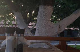 Gregory's Village - Foto 3