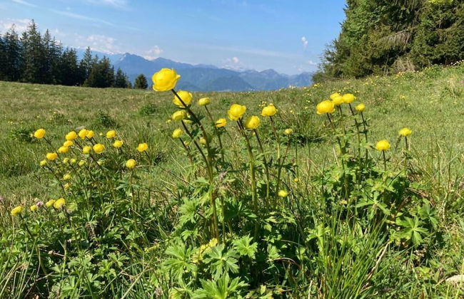 Nagelsmederij in het Huis Waldwinkel - Foto 26
