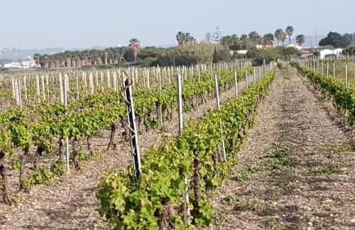 Santa Venera Home - Foto 25