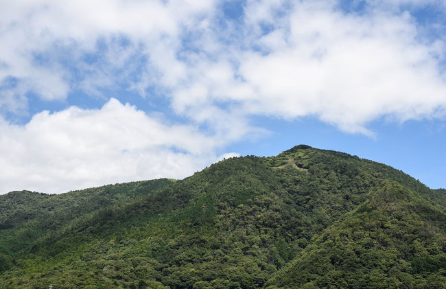Wakoso Harmonious Light West - Photo 51