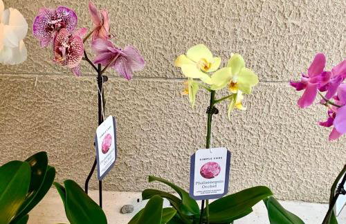 Sai Villa on Maurice River - Foto 25