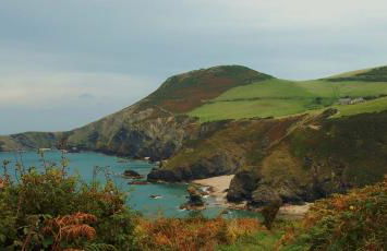 The Glamavan - Photo 26