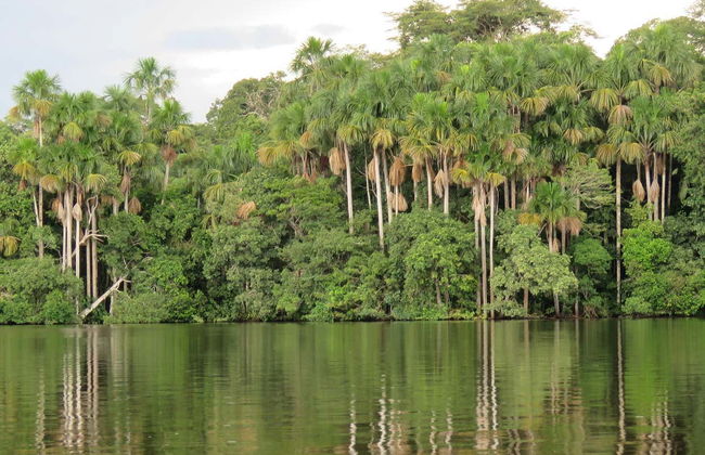 Excursion sur l'île Saona + fleuve Chavón - Photo 4