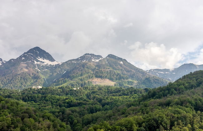 More Apartments na Estonskoy 37 k2 - Foto 15