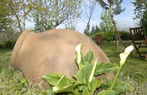 Apartamentos Rurales Los Vergeles - Foto 15