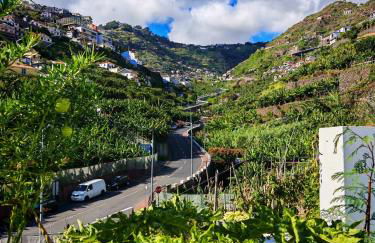 White Studio - Foto 4