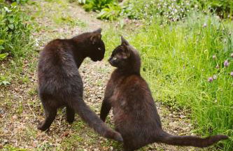 Agroturystyka u Miłosza - Foto 28