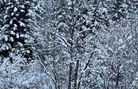 Apartamentos Deth Camin Reiau - Photo 12