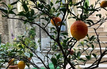 Studios Al Castello dei Limoni - Foto 7