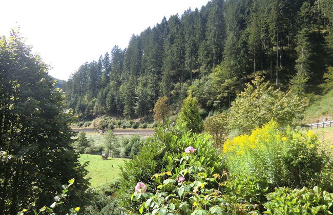 Comfy Apartment in Oppenau near Black Forest National Park - Foto 23