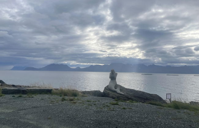 Nice Apartment Near to City Center of Tromso - Foto 6