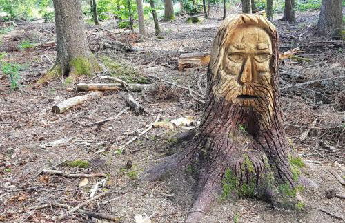 Black Forest Bergliebe Pool Terrasse Natur Ruhe Komfort - Foto 25