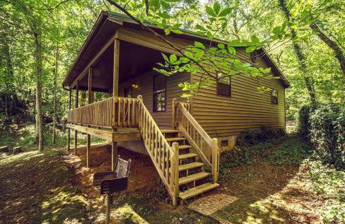 Family-Friendly Cabin Rental with River Views near Knoxville - Foto 1