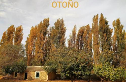 Casas de Aledo Precioso apartamento con hermosas vistas y jardin - Foto 29