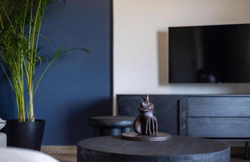 Boutique Saline Apartments - Blue - Photo 43