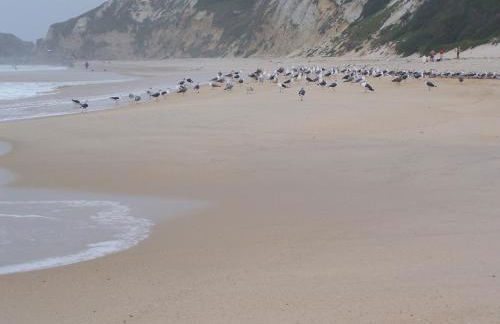 Vila Vistazul - Foto 9