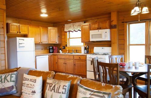 Cabin Otisco Lake Views Fire Pit & Pool Table - Foto 12