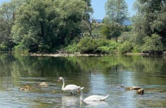 River House Val, Gorski kotar - Foto 38