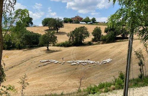 Agriturismo Colpo di Fortuna - Foto 57