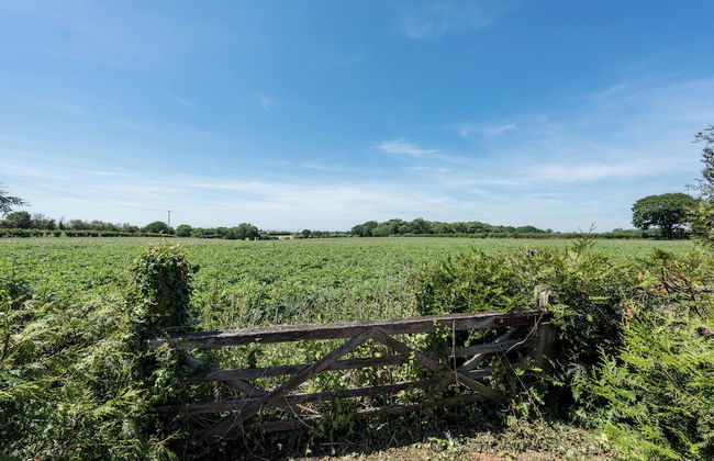 Birds Farm - Foto 50