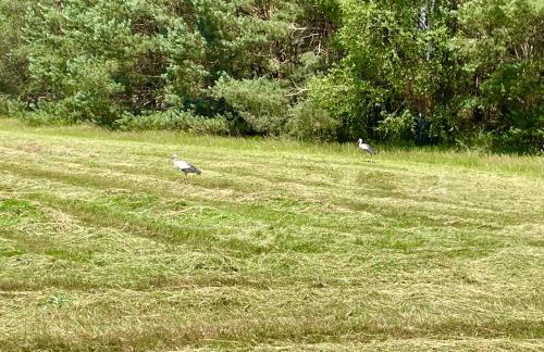 Willa przy lesie - Foto 27