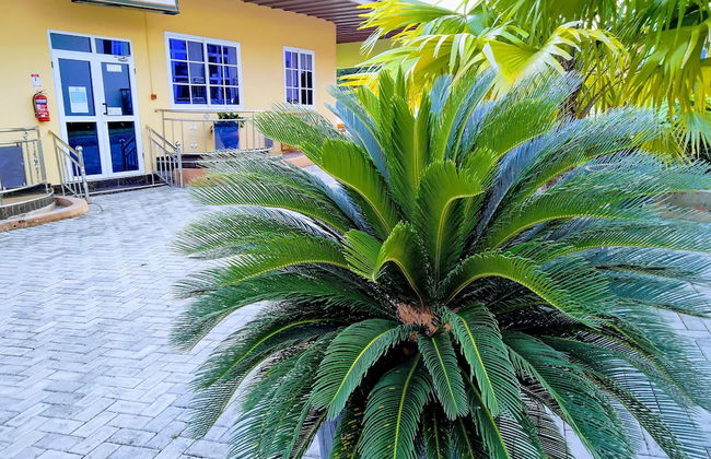 Renajoe Exclusive Centre - Photo 24