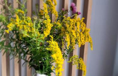 Apartament Luxusowe Karkonosze - Foto 29