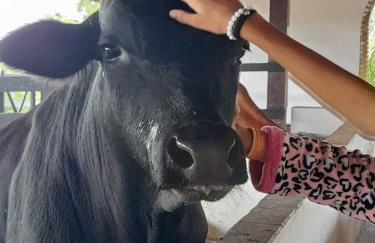 Flat Divina Paz Monte Castelo - Photo 18